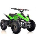 Mars-E Raptor 24V 350W ATV Electric ATV Off Road Kids ATV, Kids Quad, Kids 4 Wheelers (Green)