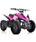 Mars-E Raptor 24V 350W ATV Electric ATV Off Road Kids ATV, Kids Quad, Kids 4 Wheelers (Pink)